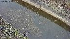 area10-20250327072036.jpg
