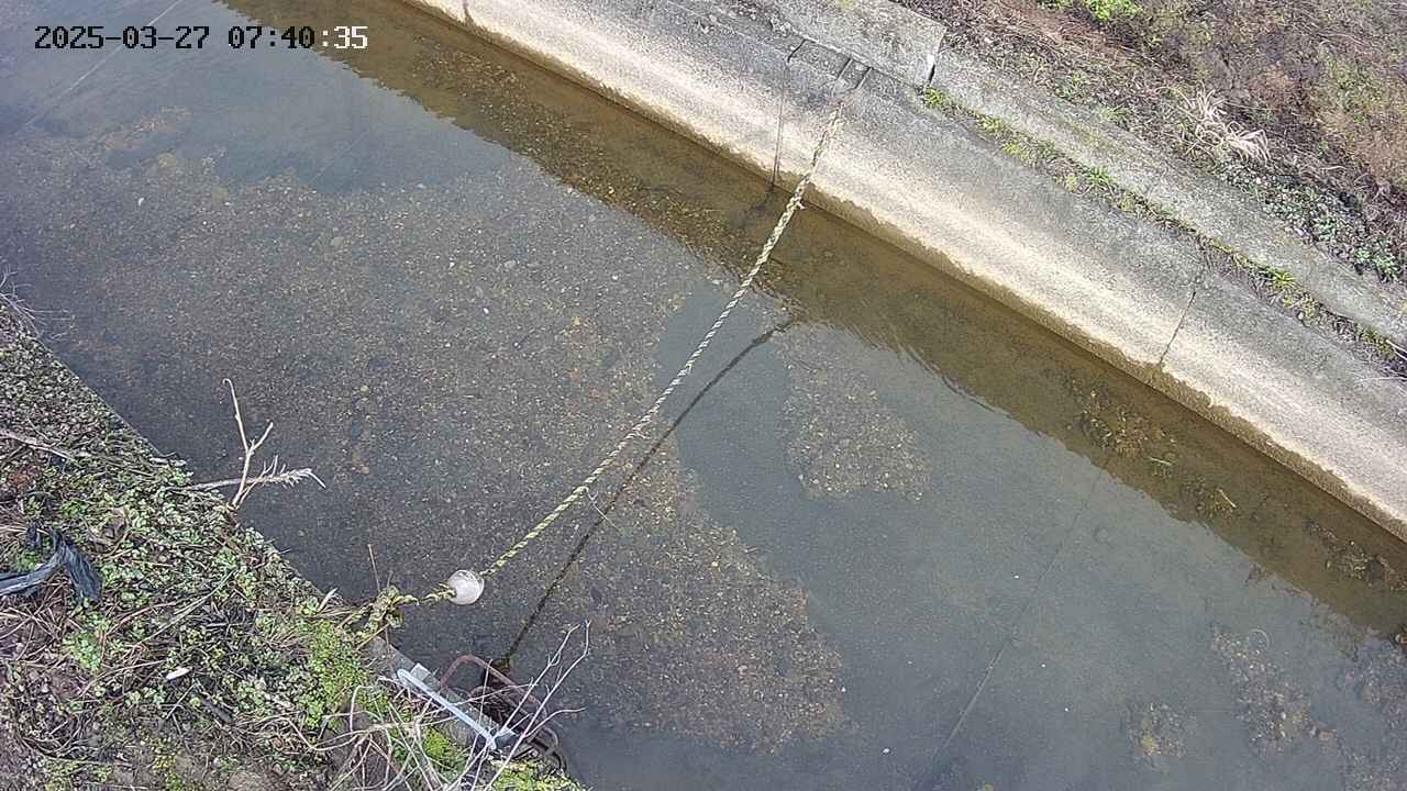 area10-20250327074036.jpg