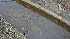 area10-20250327082035.jpg