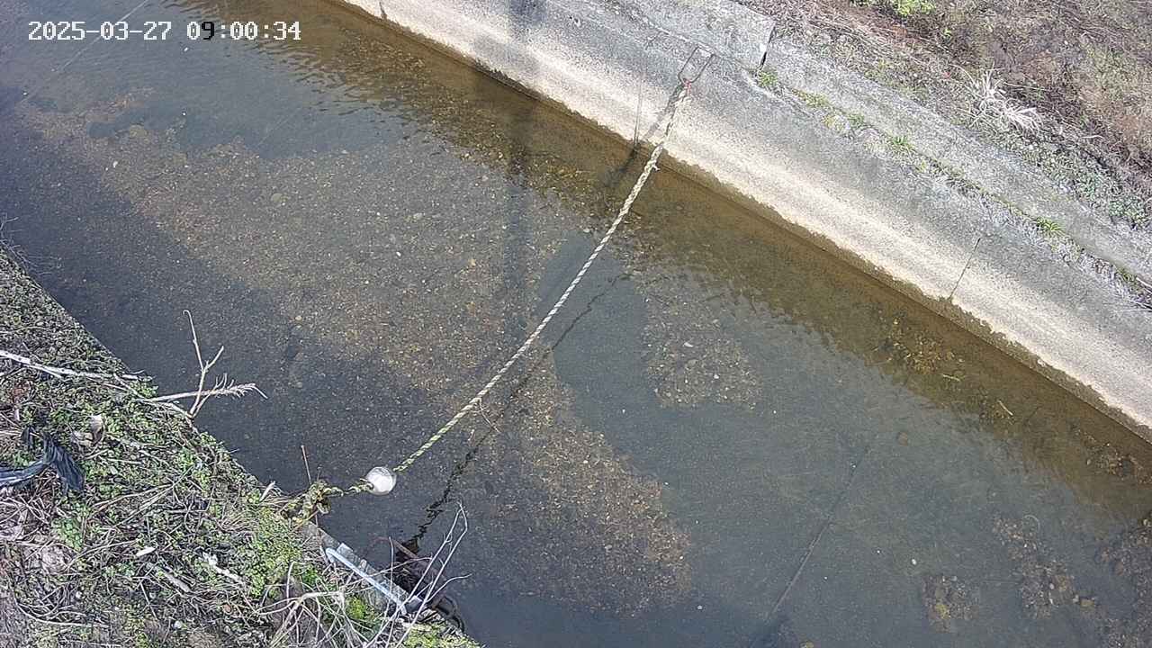 area10-20250327090035.jpg