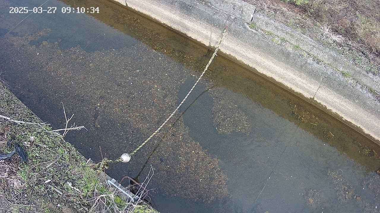 area10-20250327091035.jpg