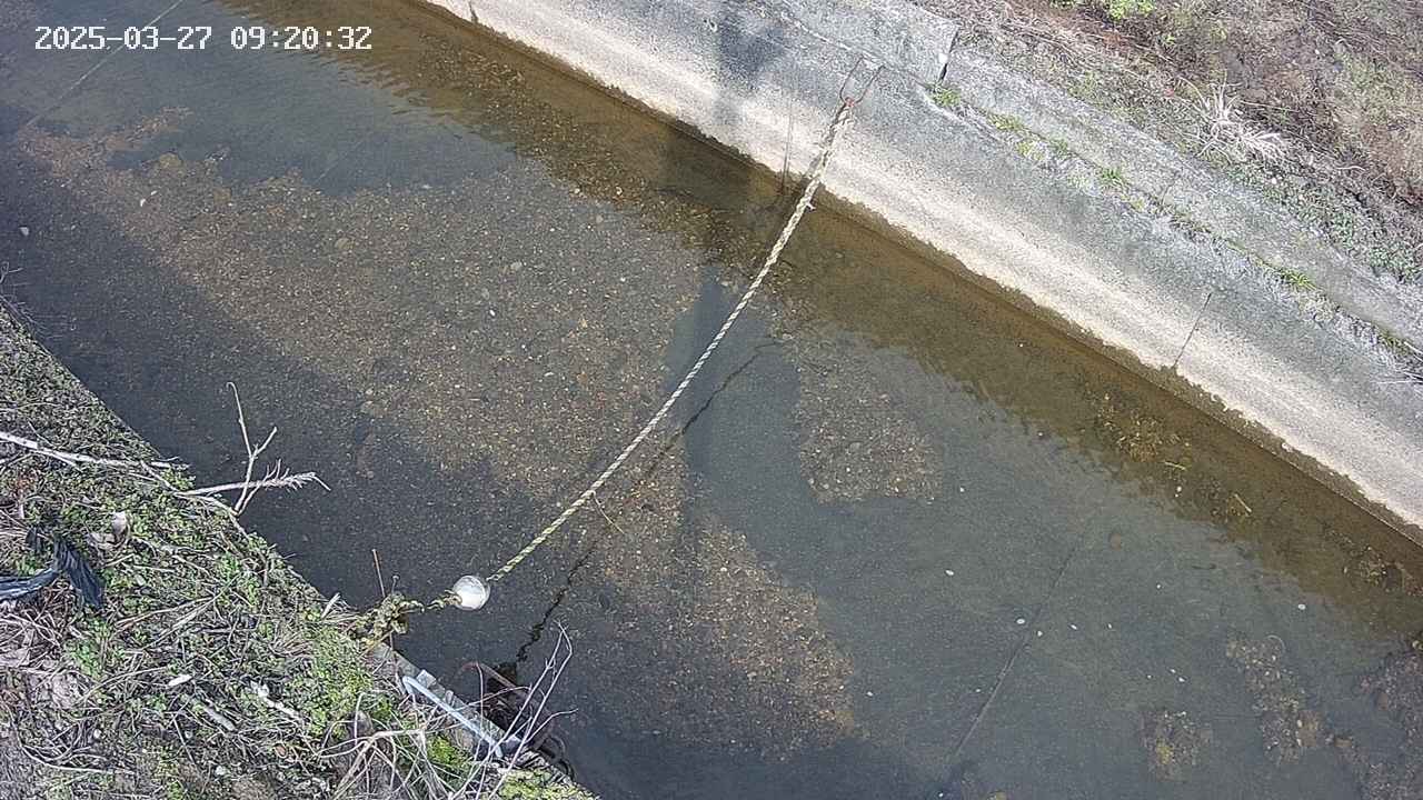area10-20250327092034.jpg
