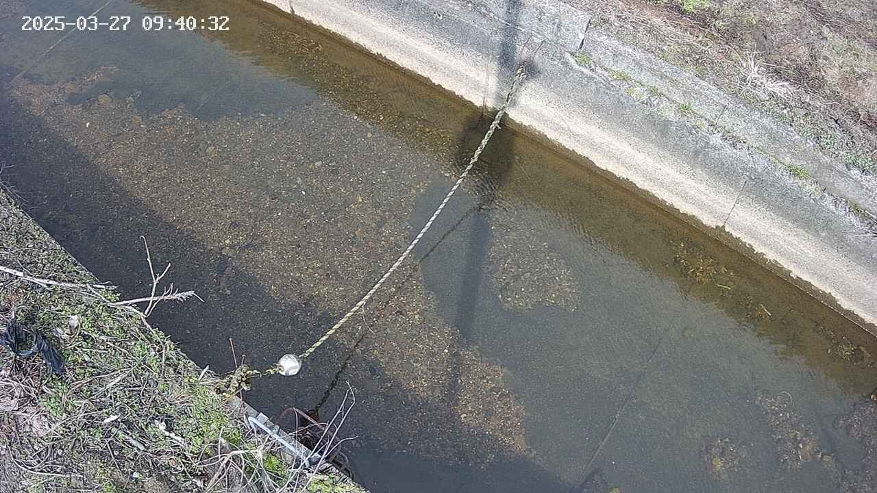 area10-20250327094034.jpg