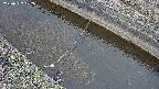 area10-20250327102036.jpg