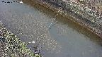 area10-20250327120036.jpg