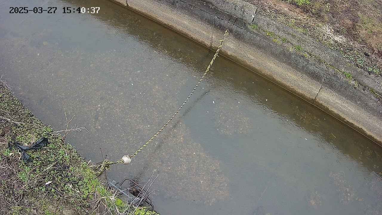 area10-20250327154038.jpg
