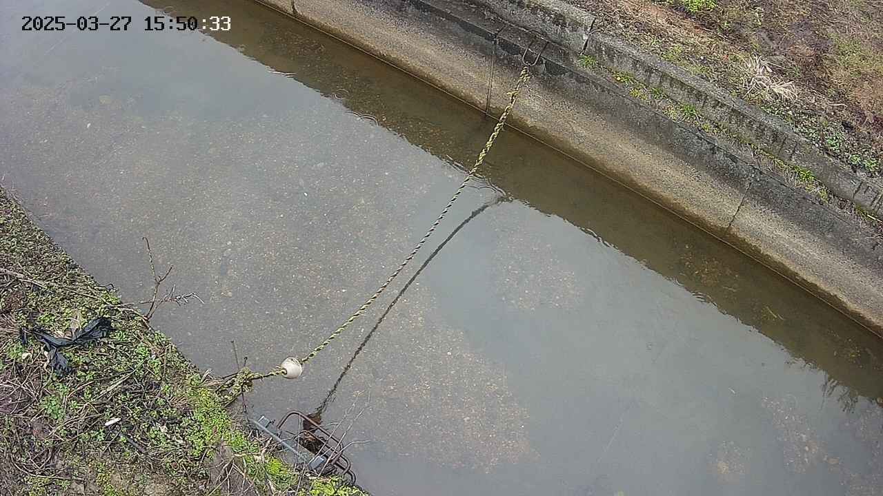 area10-20250327155034.jpg