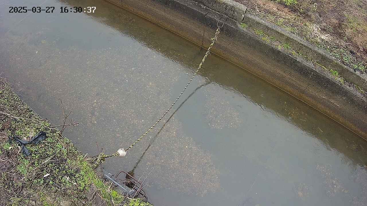 area10-20250327163038.jpg