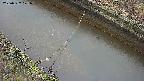 area10-20250327171036.jpg