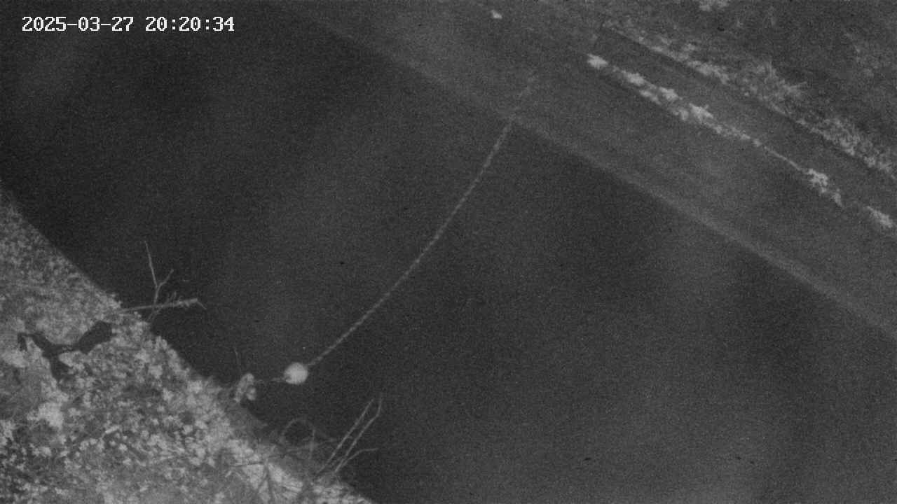 area10-20250327202035.jpg