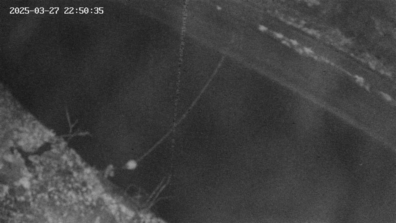 area10-20250327225036.jpg
