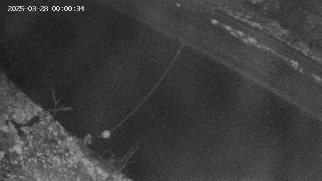 area10-20250328000036.jpg