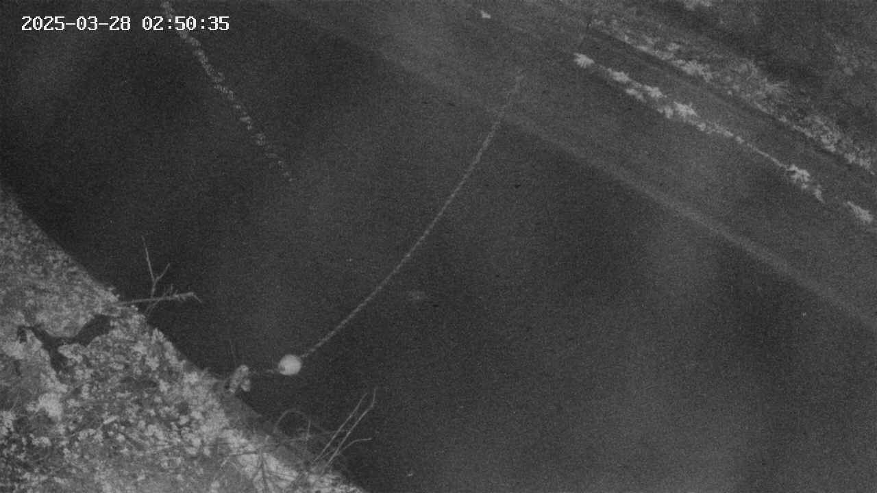area10-20250328025036.jpg