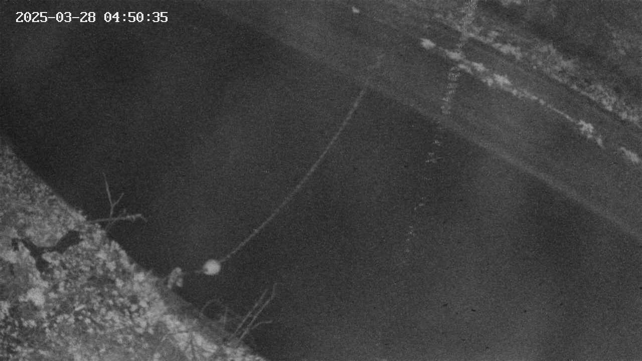 area10-20250328045036.jpg