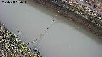 area10-20250328054035.jpg