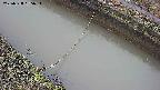 area10-20250328055035.jpg