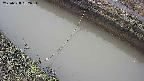 area10-20250328062035.jpg