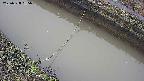 area10-20250328065035.jpg