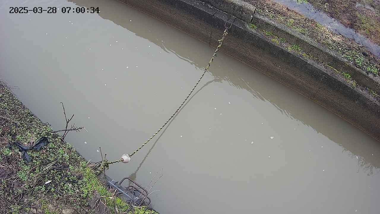 area10-20250328070035.jpg