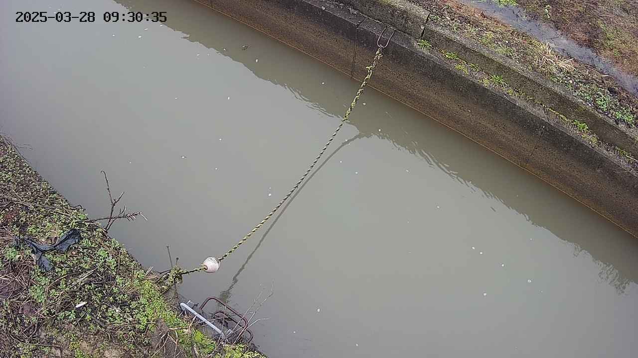 area10-20250328093036.jpg