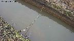 area10-20250328150036.jpg