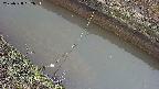 area10-20250328152035.jpg
