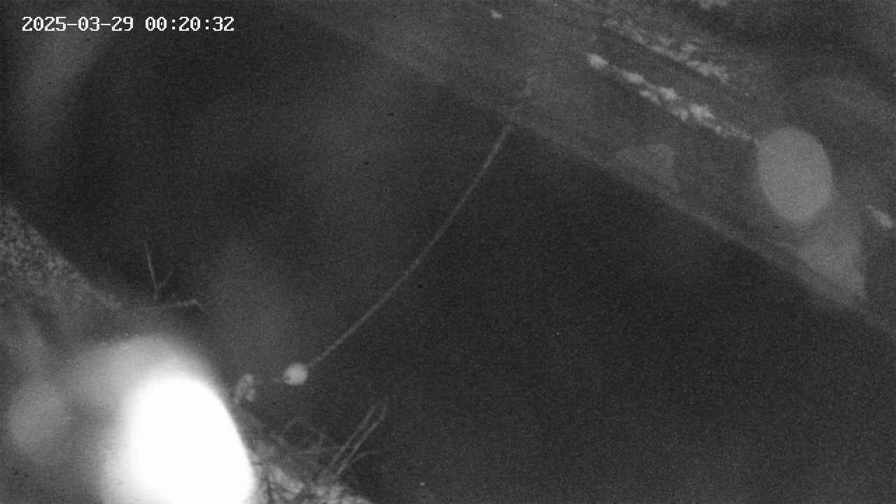 area10-20250329002034.jpg