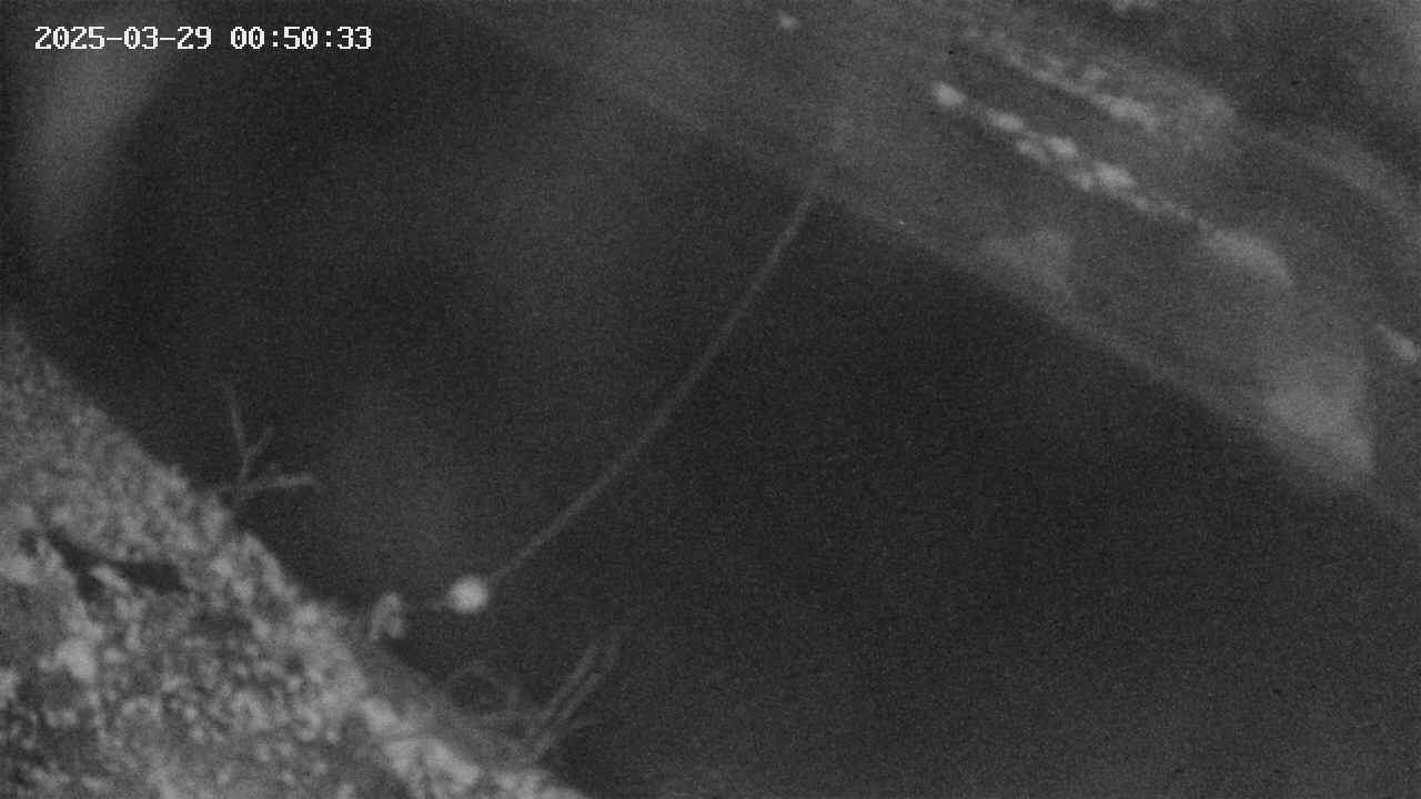 area10-20250329005035.jpg