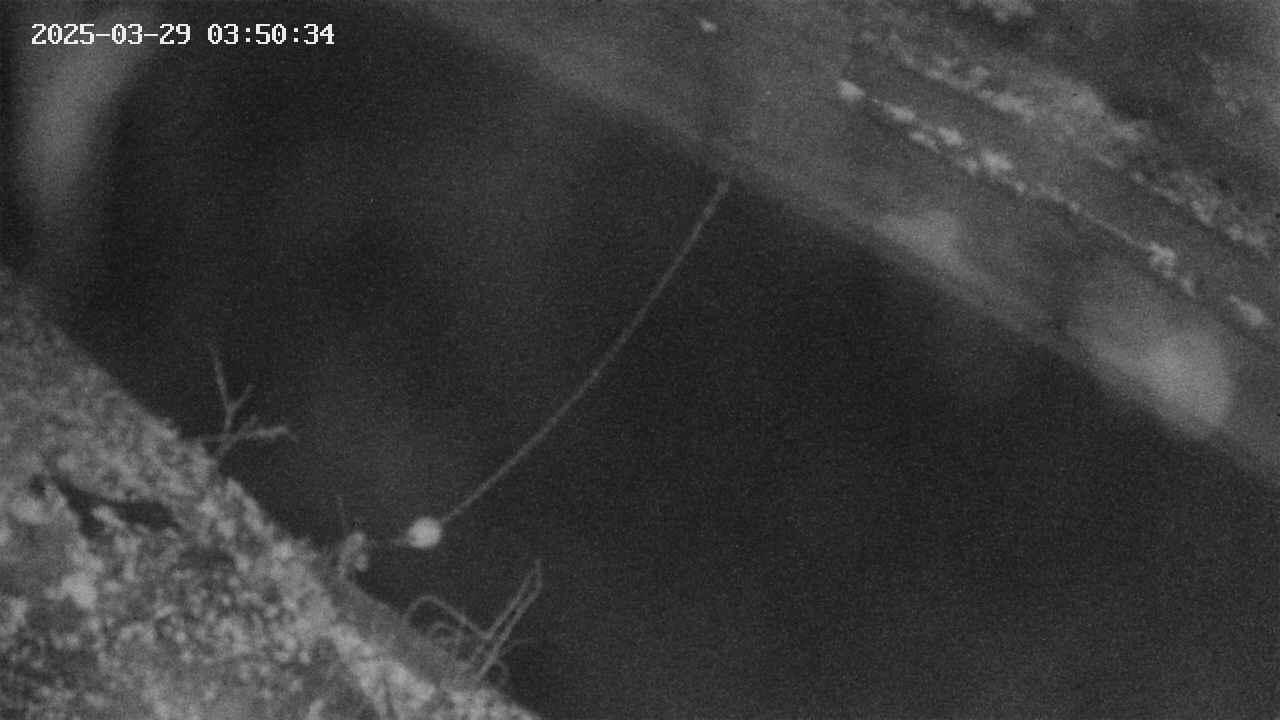 area10-20250329035034.jpg
