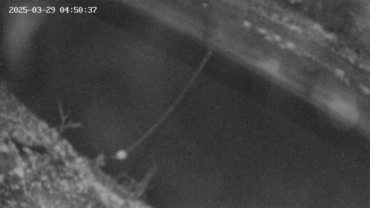 area10-20250329045037.jpg