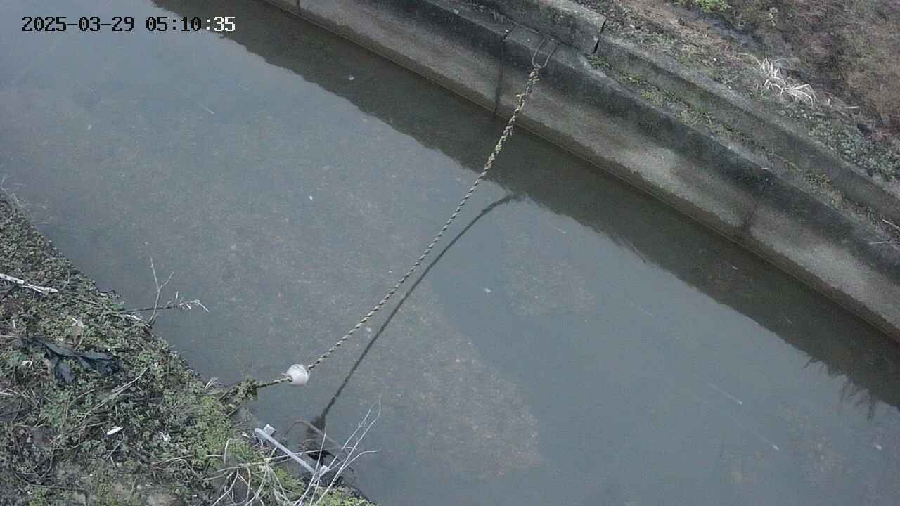 area10-20250329051035.jpg