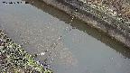 area10-20250329060036.jpg