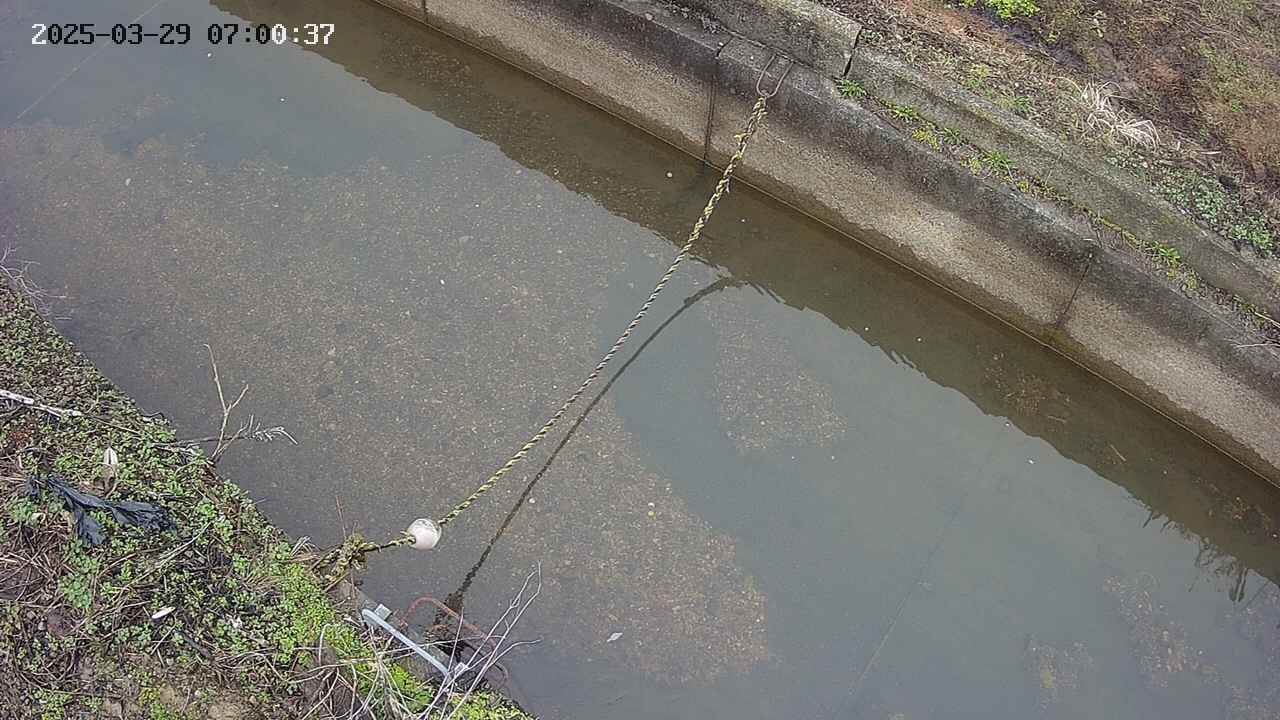 area10-20250329070038.jpg