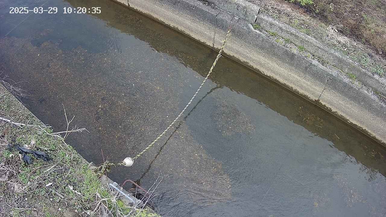 area10-20250329102036.jpg