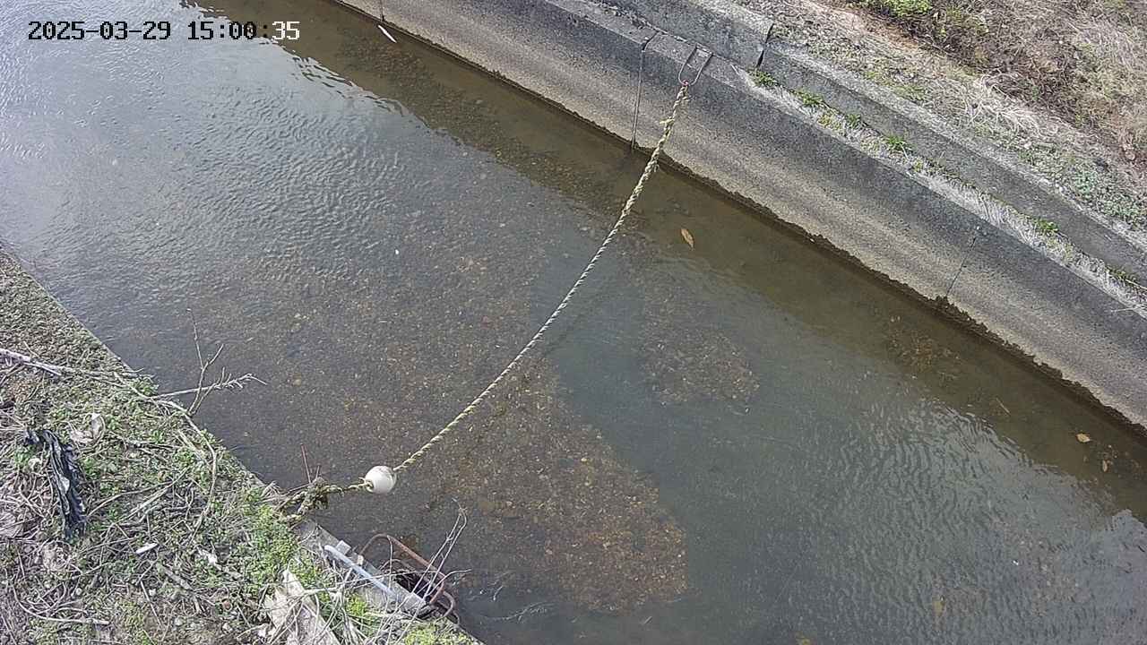 area10-20250329150036.jpg