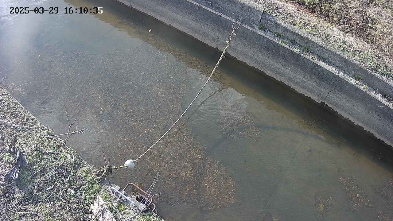 area10-20250329161036.jpg
