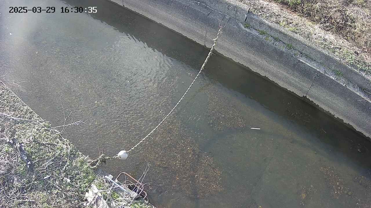 area10-20250329163036.jpg