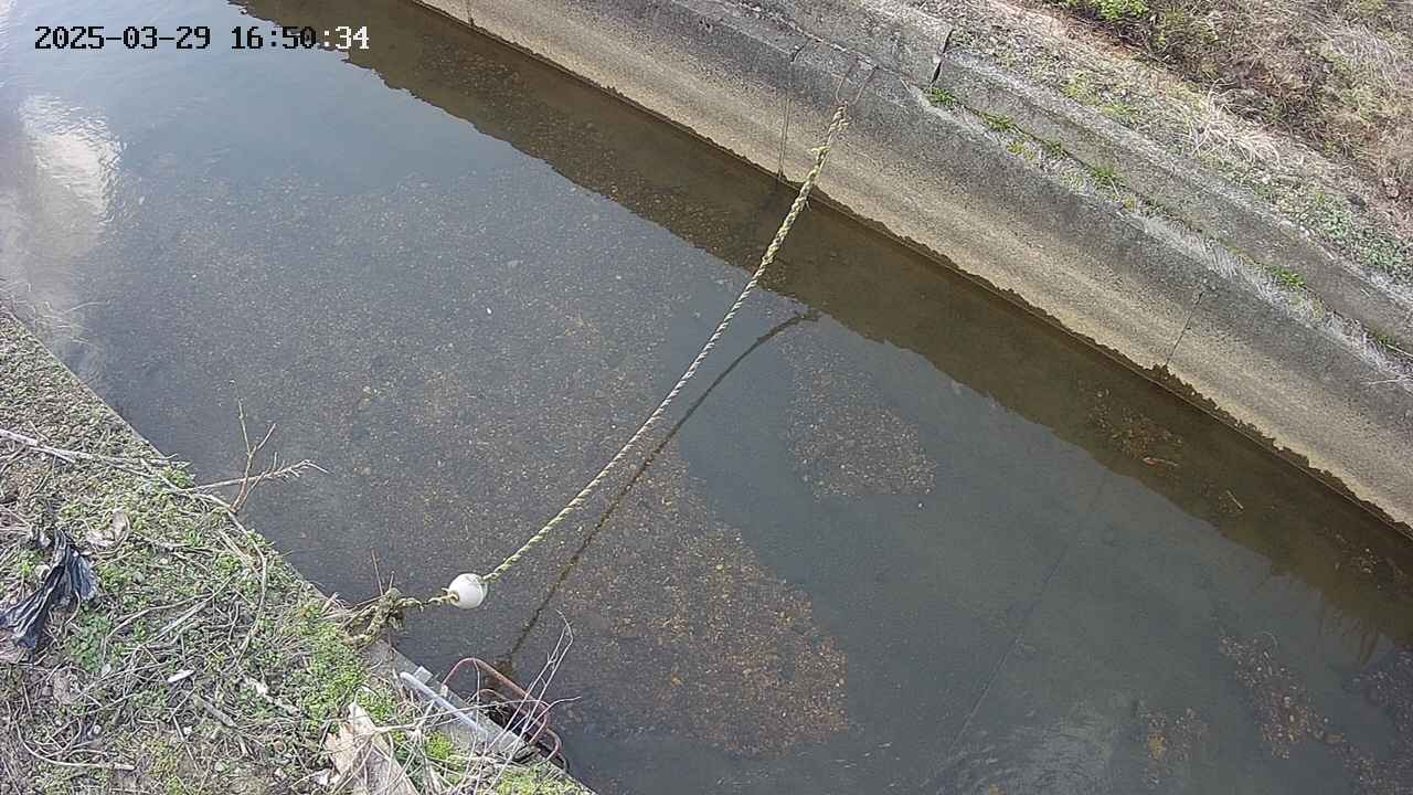 area10-20250329165035.jpg