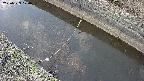 area10-20250329170036.jpg