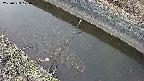 area10-20250329175037.jpg