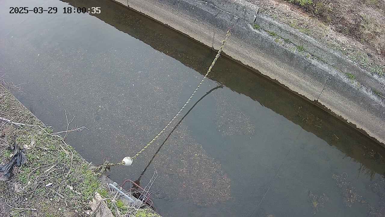 area10-20250329180036.jpg