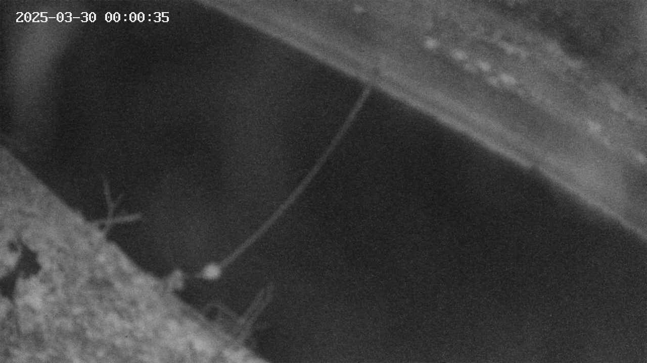 area10-20250330000036.jpg