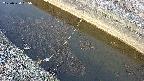 area10-20250330065036.jpg
