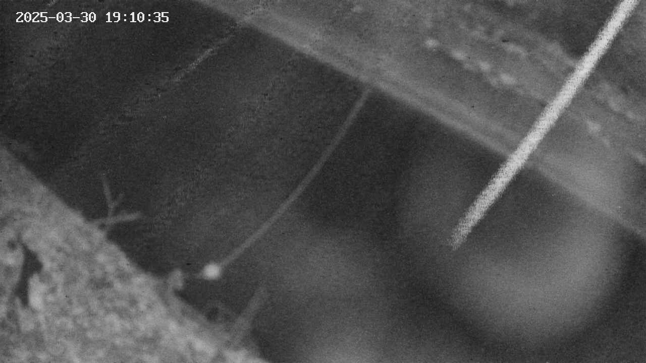 area10-20250330191037.jpg