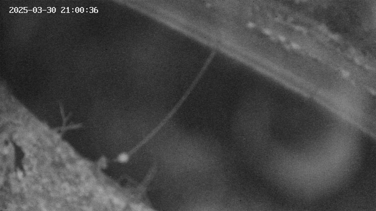 area10-20250330210038.jpg