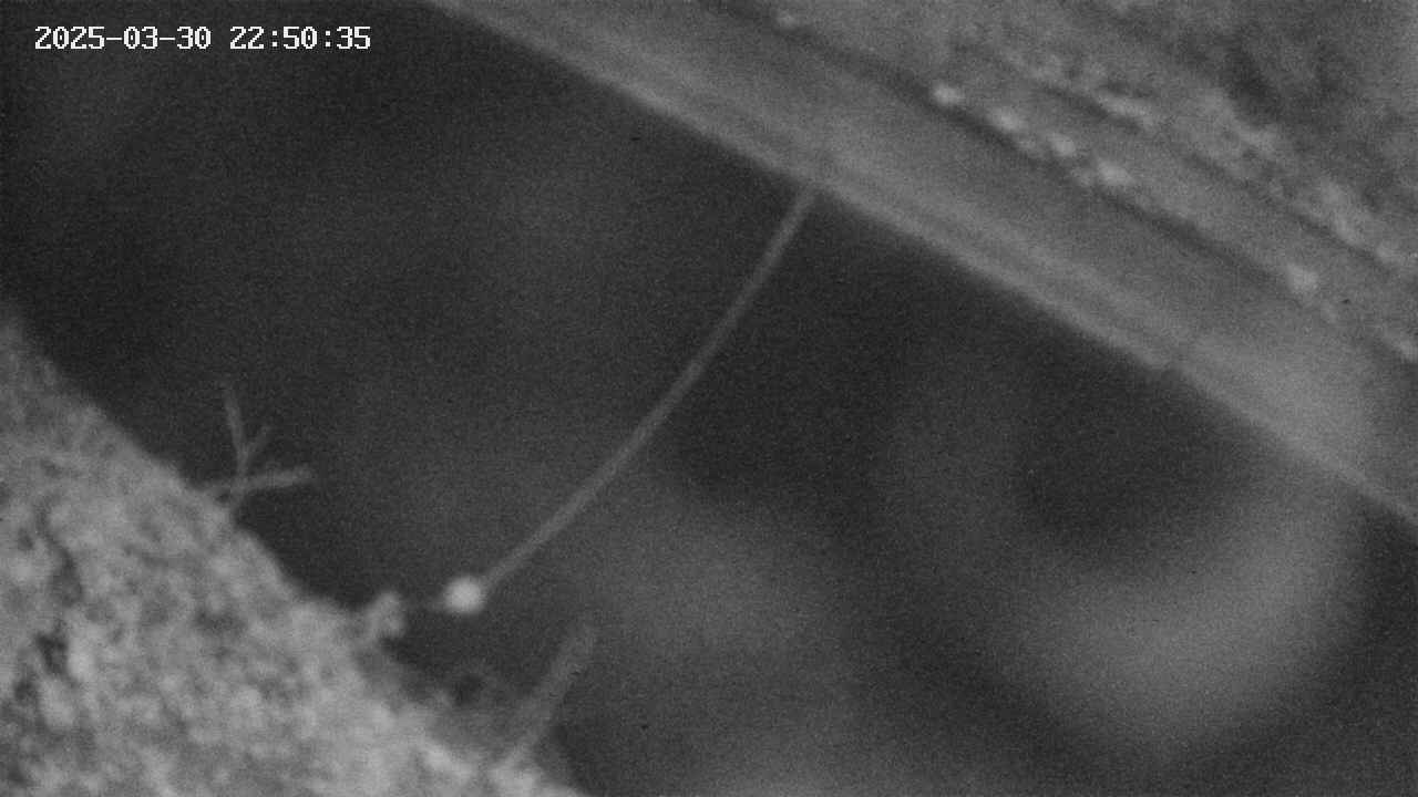 area10-20250330225036.jpg
