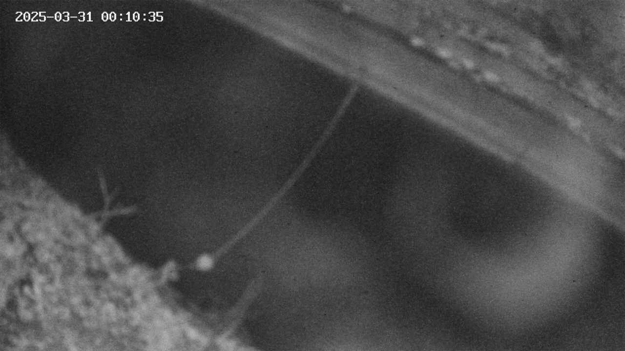 area10-20250331001036.jpg