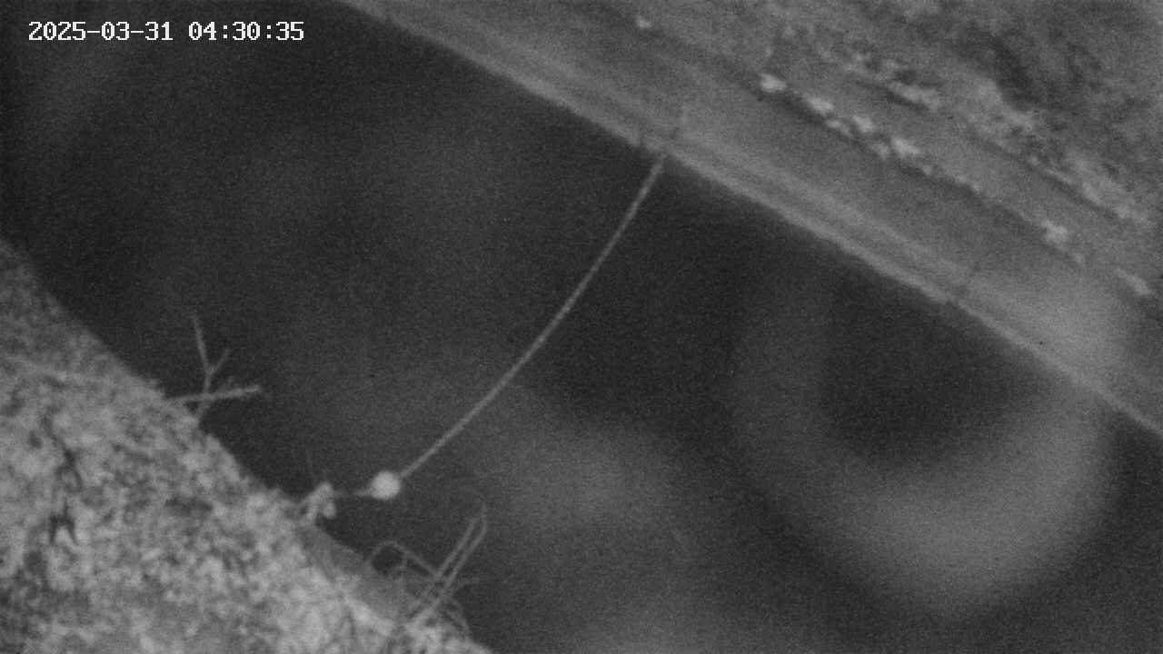 area10-20250331043035.jpg