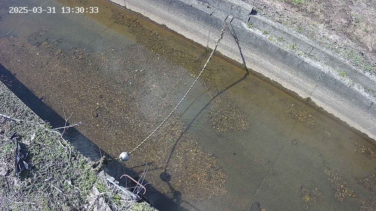 area10-20250331133035.jpg
