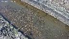 area10-20250331141035.jpg